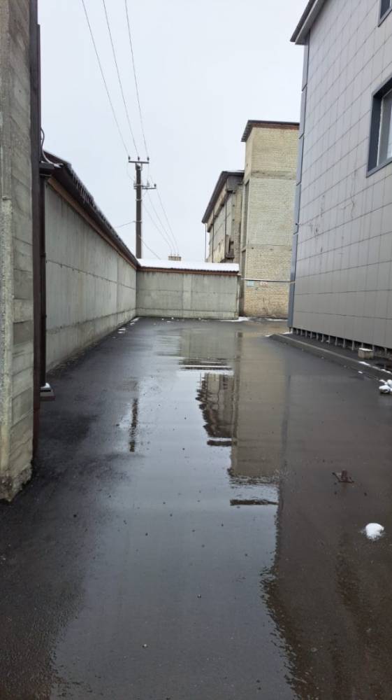 изображение whatsapp 2025-03-20 в 12.05.57_a905ac2a