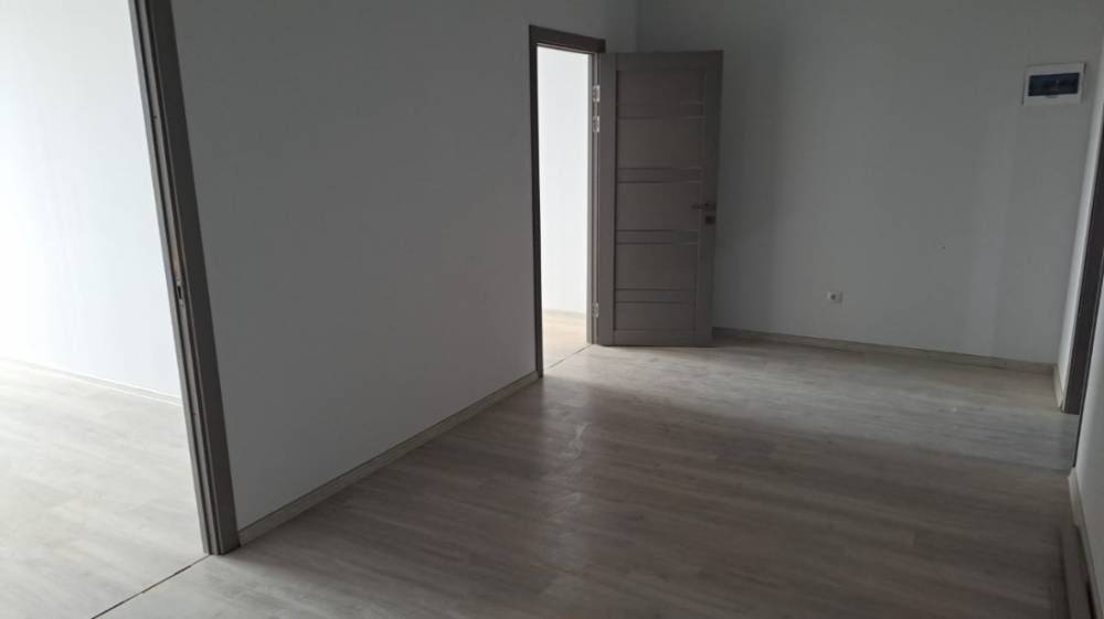 изображение whatsapp 2025-03-20 в 11.46.31_a246f249