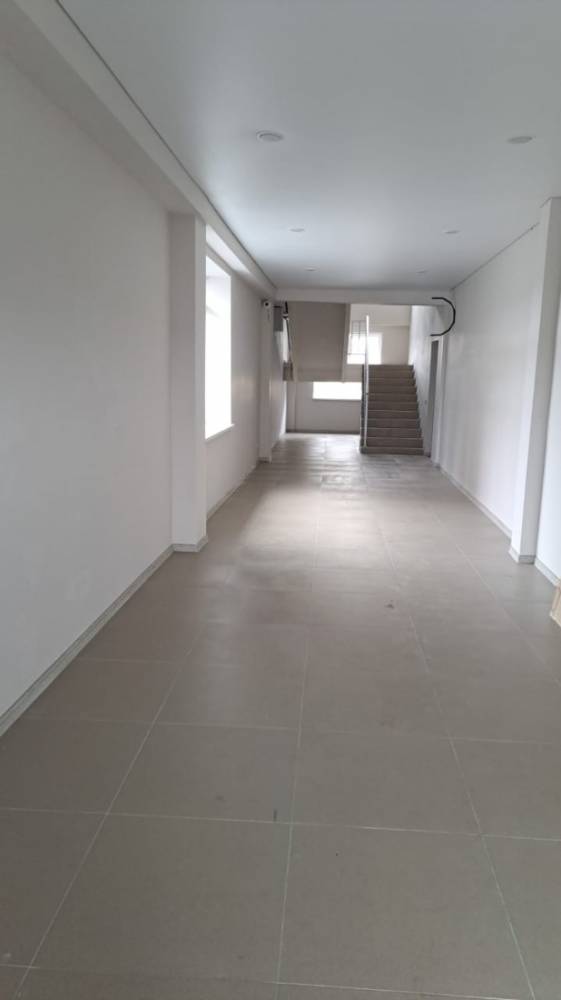 изображение whatsapp 2025-03-20 в 11.55.16_e195d283