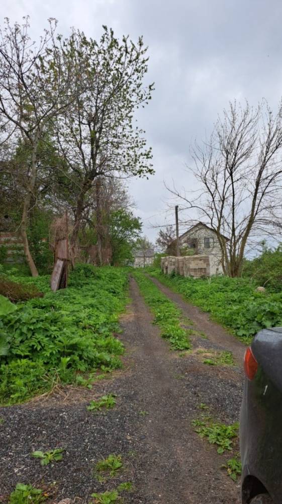 изображение whatsapp 2025-04-25 в 13.45.34_c13b2ccf