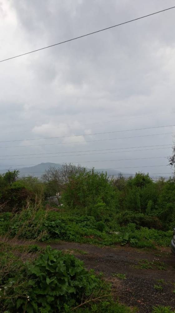 изображение whatsapp 2025-04-25 в 13.46.19_a577324c