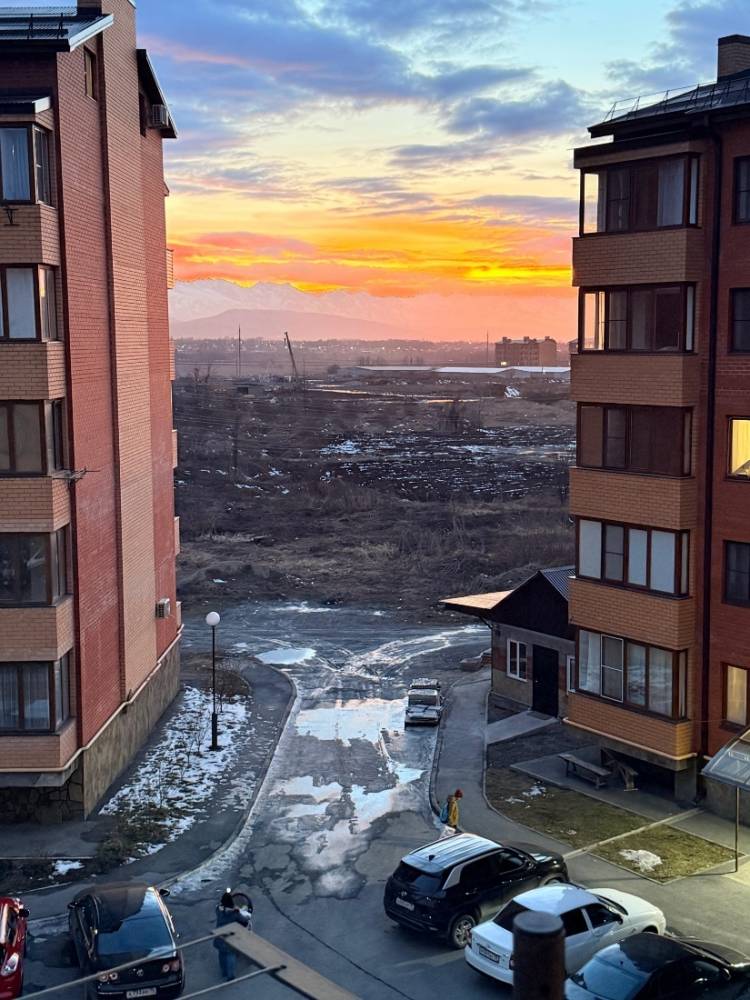 изображение whatsapp 2025-06-04 в 11.58.16_3e4818e4