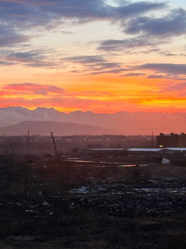 изображение whatsapp 2025-06-04 в 12.00.57_1fc872cf