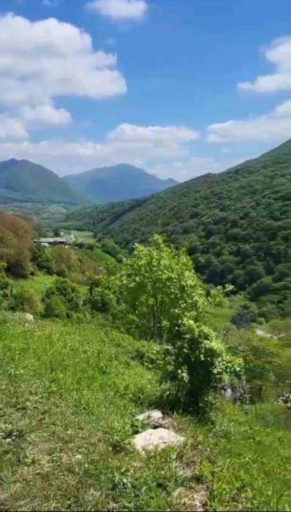 изображение whatsapp 2025-05-26 в 13.28.53_67c18019