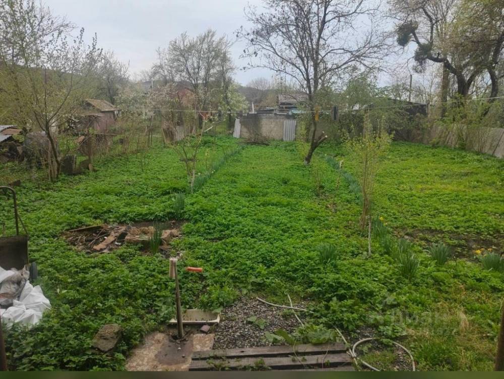 изображение whatsapp 2025-05-27 в 15.43.09_37b22eab