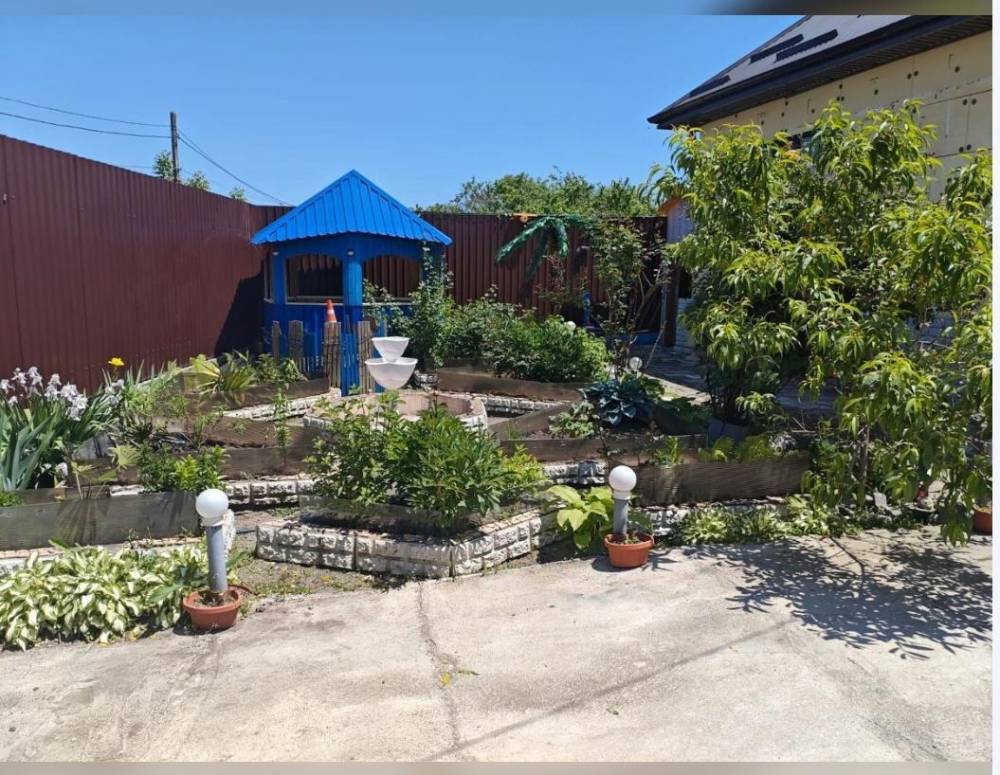 Вид из окна