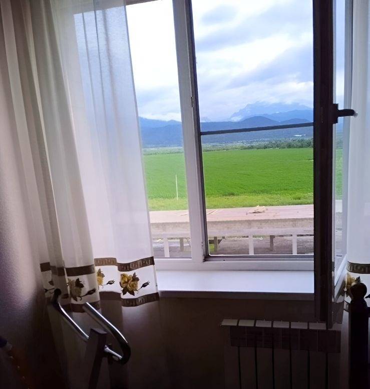 Вид из окна